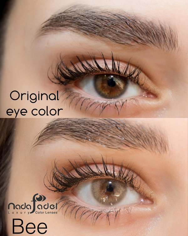 Nada Fedal lenses | Bee - Contact lenses